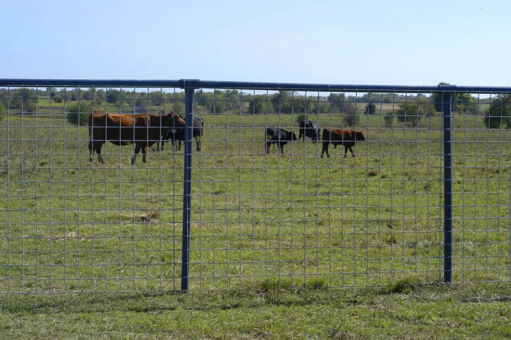 Max-50 cattle panels for livestock fencing