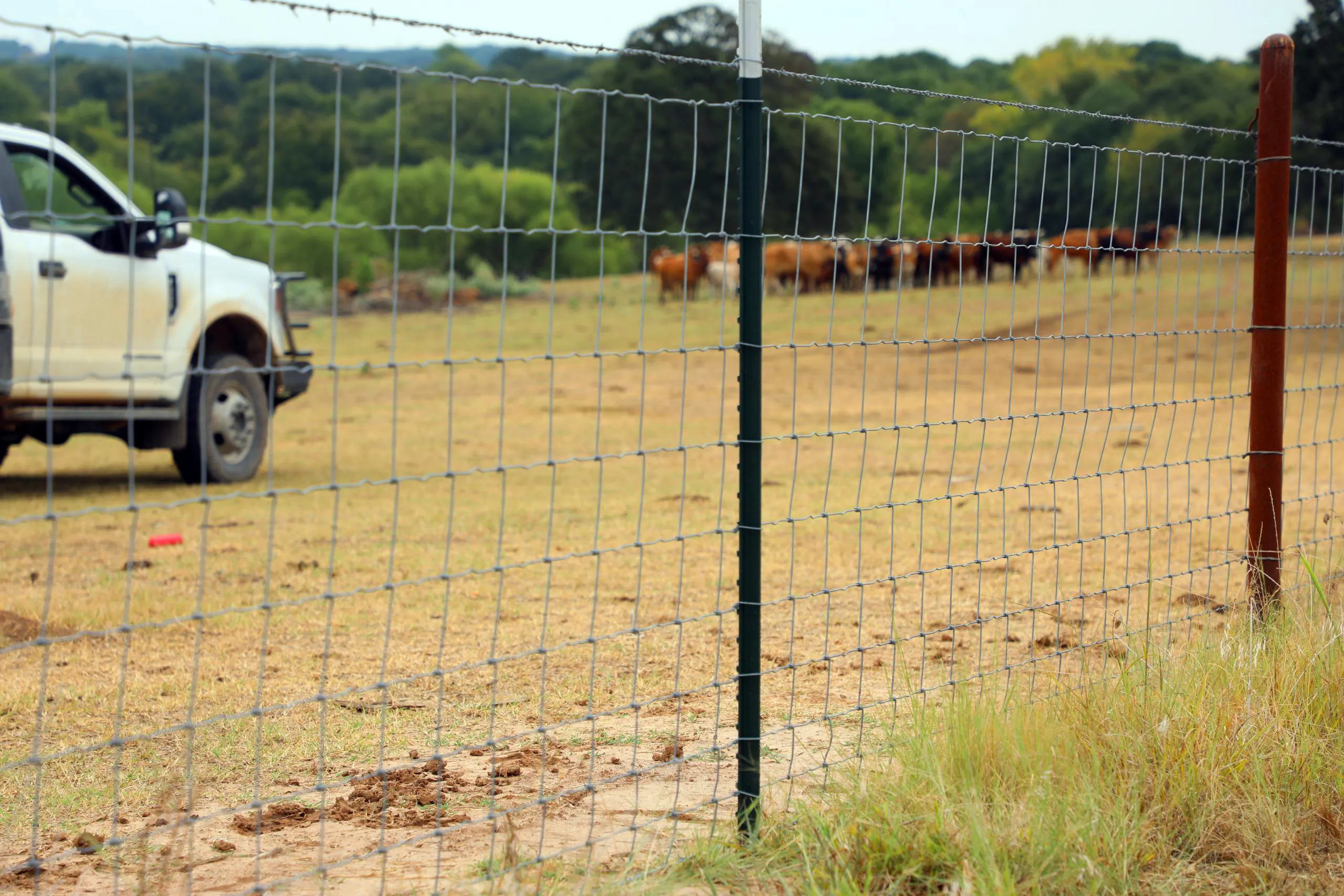 premium hinge joint field fence