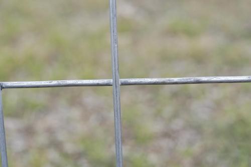 Kennel fence Closeup